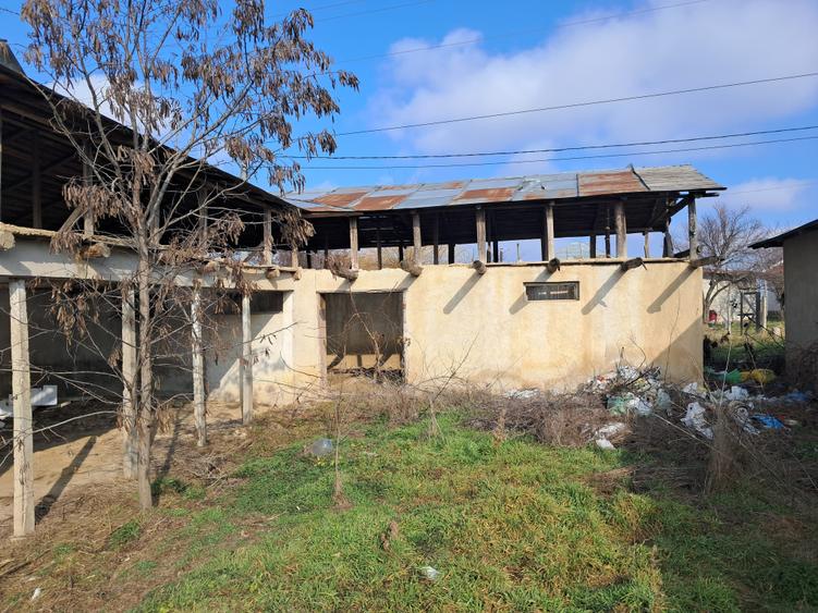 Casă individuală cu 4 camere cu Teren 1634 Mp în Vasile Alecsandri