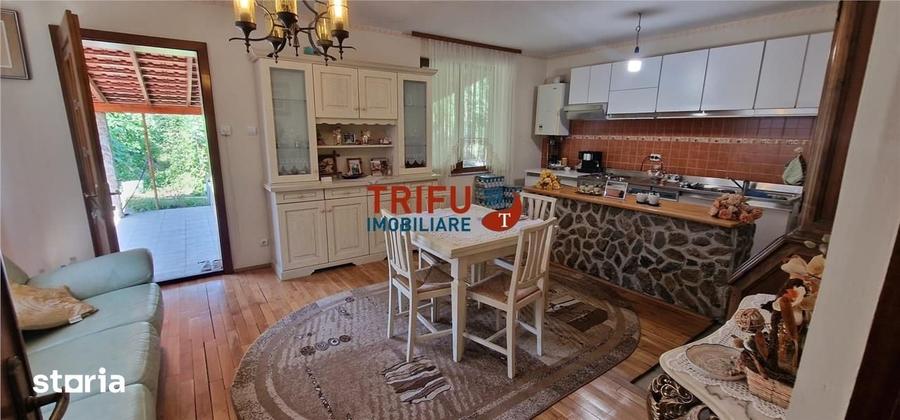 Casa individuala 4 camere, zona Cetate, teren 720 mp, Alba Iulia - 20