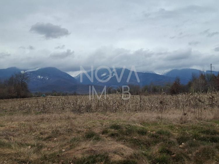 Teren agricol extravilan de 2100 mp, în Arpașu de Sus