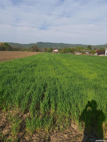 Teren de 2450 mp, în Băiculești