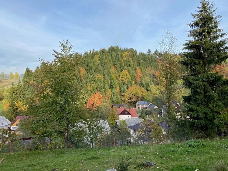 Teren de 750 mp, în Central