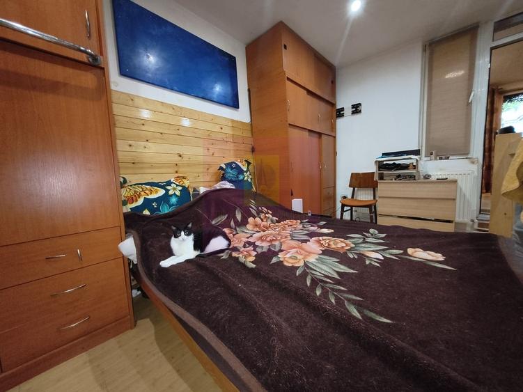 Studio cu centrala proprie Baba Novac - IOR - 9