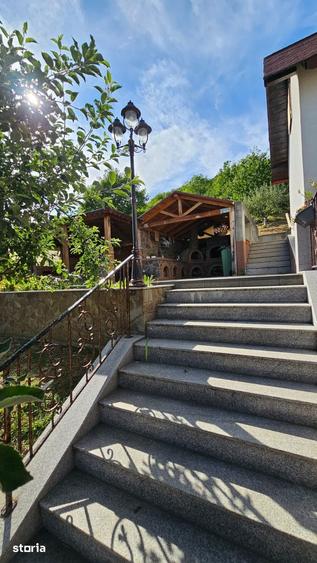 Casă cu 7 camere cu Teren 2870 Mp în Viișoara