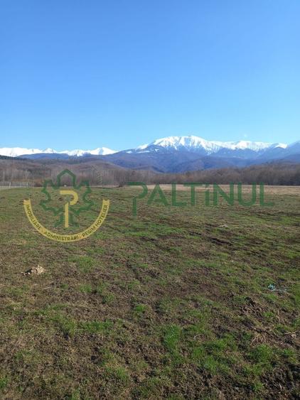 Teren agricol extravilan de 1737 mp, în Racovița