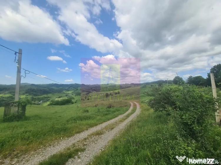 Teren de 9037 mp, în Plaiul Tălii