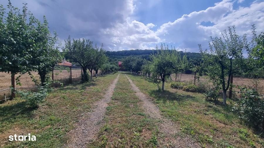 Casă cu 4 camere cu Teren 1079 Mp în Hidiș