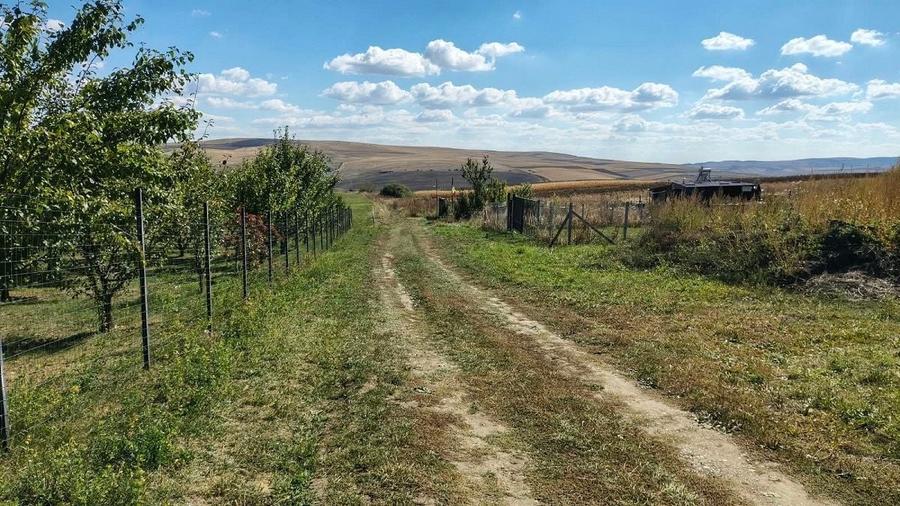 Teren Construcții intravilan de 1500 mp, în Rediu