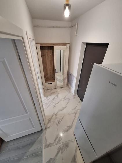 Apartament 1 camera Lunca Cetatuii - 3