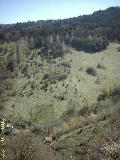 Spațiu comercial, în Drumul Carului