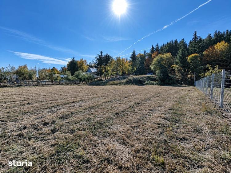Teren de 3291 mp, în Vulcan