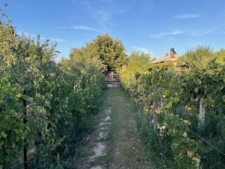 Casă individuală cu 4 camere cu Teren 1183 Mp în Est