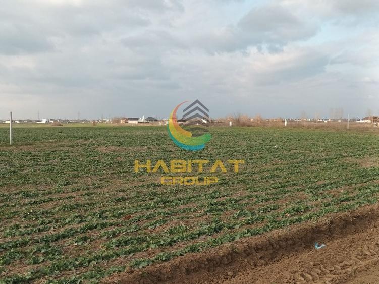 Teren Construcții extravilan de 12442 mp, în Berceni