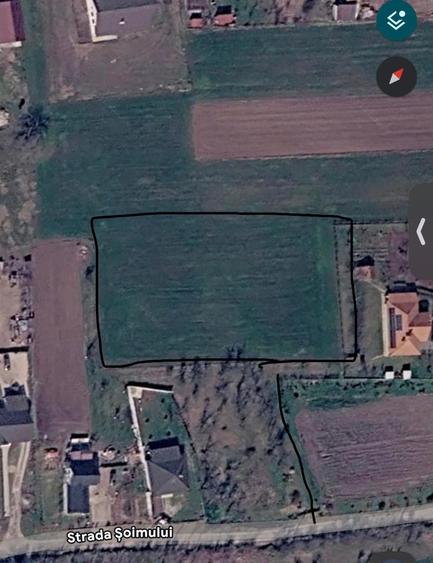 Teren de 4000 mp, în Oarda