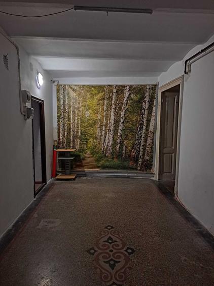 inchiriere apartament 2 cam Cismigiu - 3