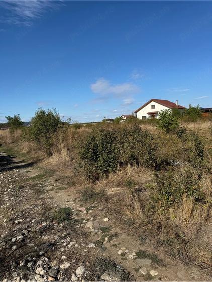 Teren de 1500 mp, în Săbăreni