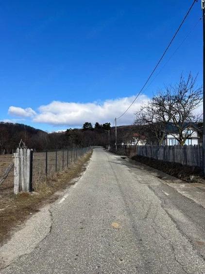 Teren de 1542 mp, în Cicănești
