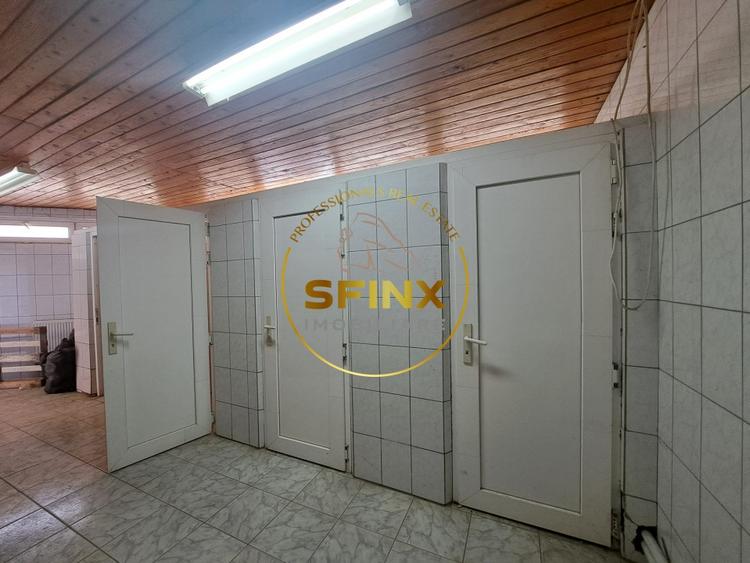Spațiu industrial, de 240 mp, în Theodor Pallady