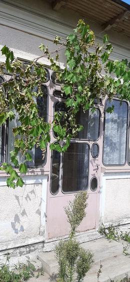 Casă cu 3 camere cu Teren 856 Mp în Socetu