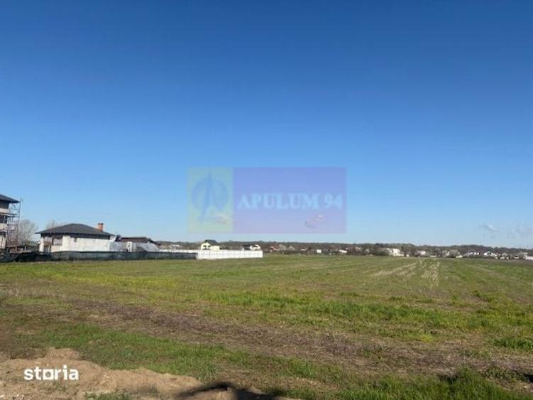 Teren de 4000 mp, în Clinceni
