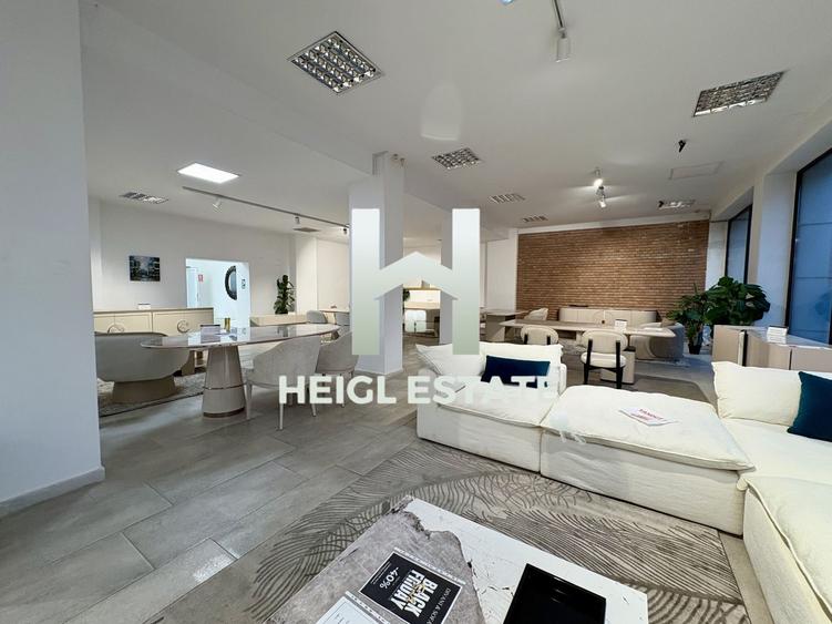 Spațiu comercial, de 470 mp, în Șagului
