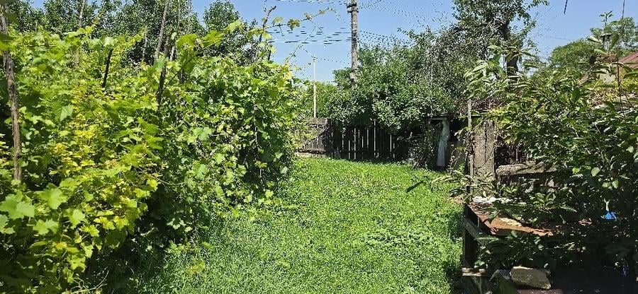 Teren de 608 mp, în Central