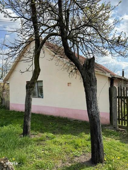Teren intravilan cu casa batraneasca in vatra satului Dragsina - 2