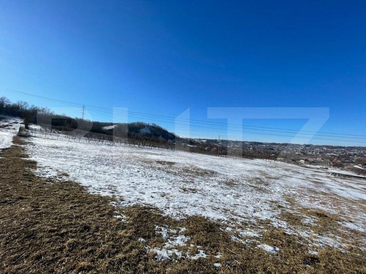 Teren Construcții intravilan de 9600 mp, în Rădășeni