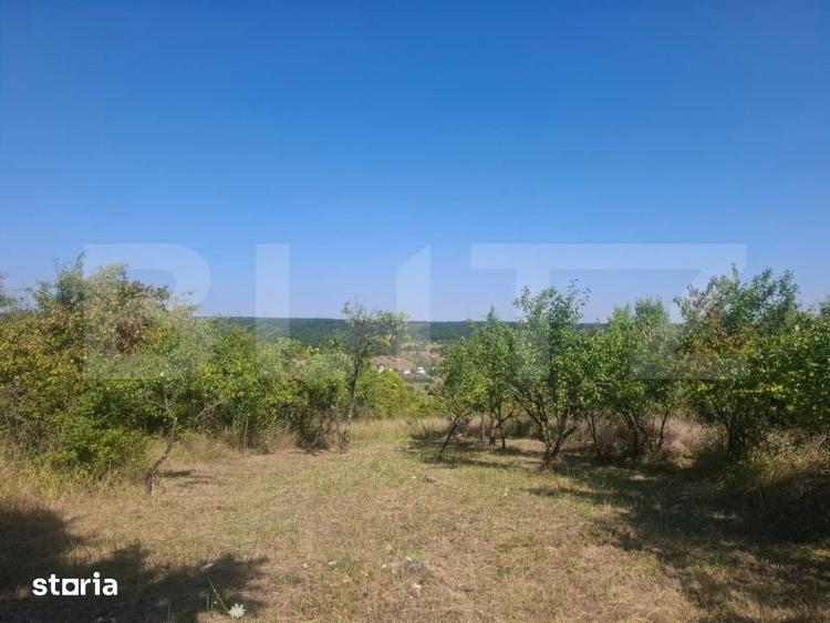 Teren de 2493 mp, în Cobia