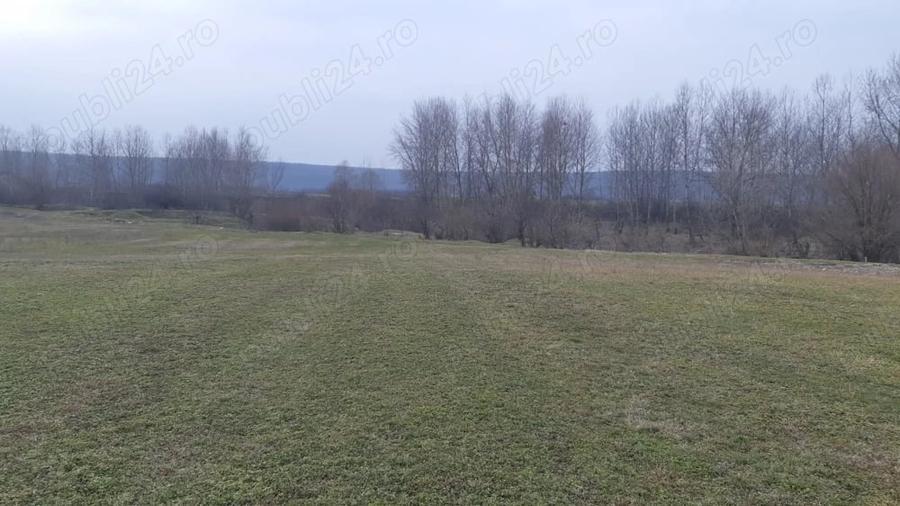 Teren 10.000 mp si casa in Stolinici Arges - 6
