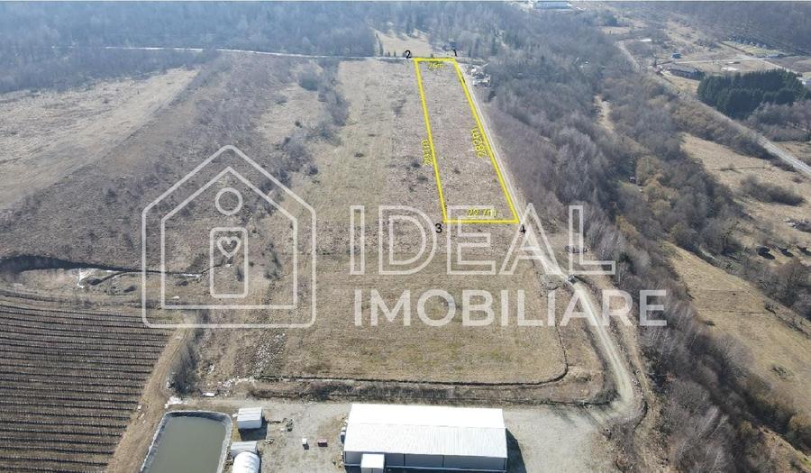 Teren agricol extravilan de 6500 mp, în Cârțișoara