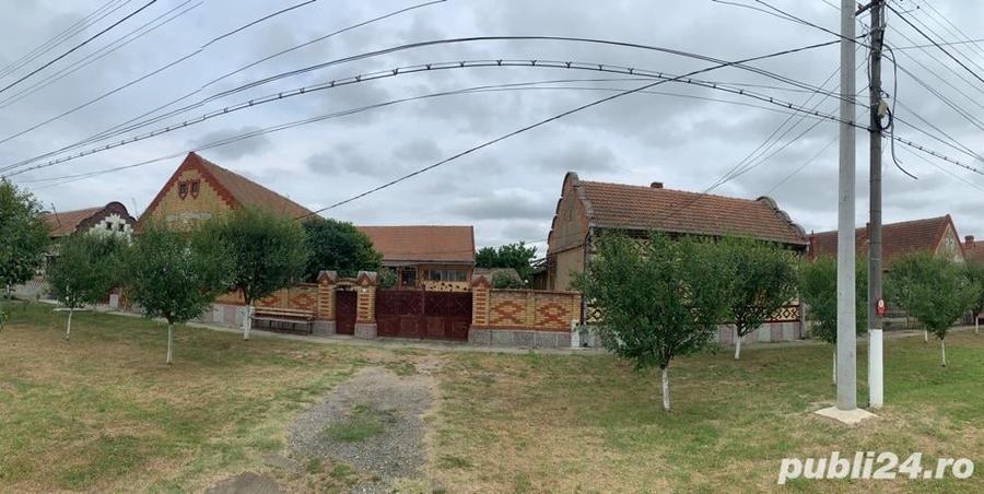 Casă cu 6 camere cu Teren 7805 Mp în Belinț