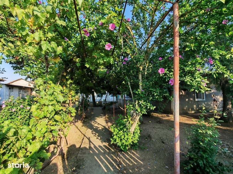 Casă cu 2 camere în Boldești