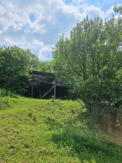 Teren intravilan cu livada - 9.000 mp, sat Ogretin, comuna Drajna - 6