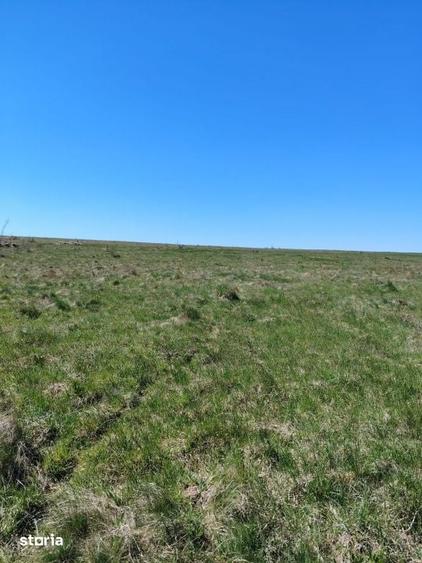 Teren de 8200 mp, în Ciurila