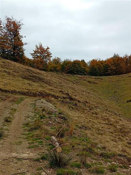 RECO Teren extravilan la Cresuia, Stana de Vale - 14