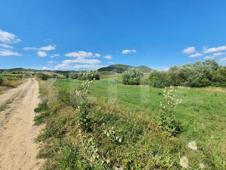 Teren Construcții intravilan de 3100 mp, în Sud