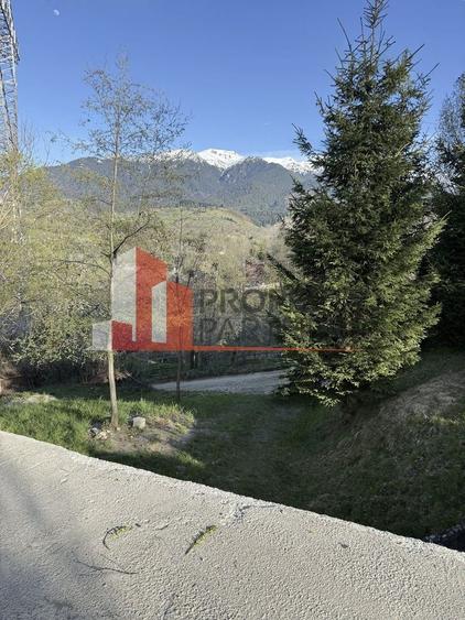 Teren Construcții intravilan de 1750 mp, în Bran