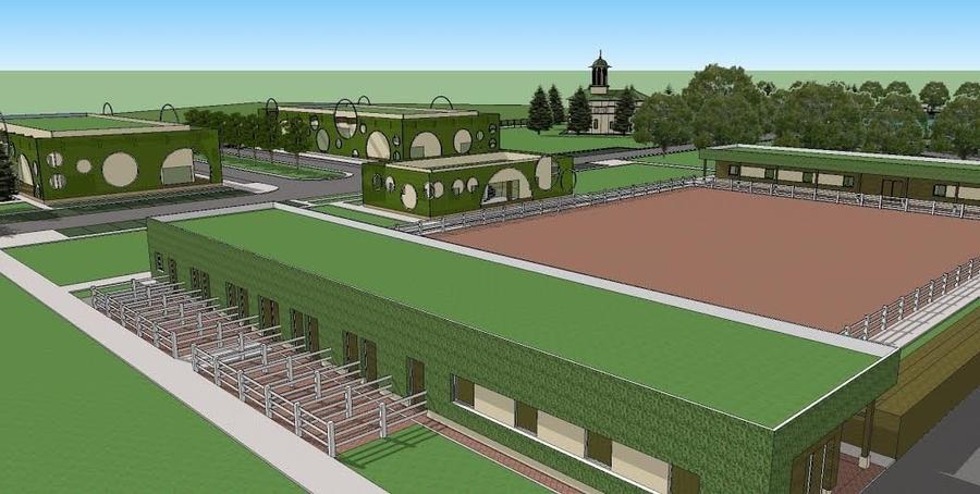 Teren Construcții intravilan de 49000 mp, în Cornești