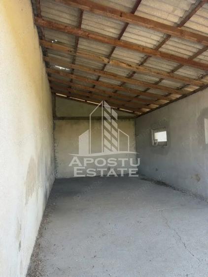 Casă cu 5 camere cu Teren 5755 Mp în Șandra