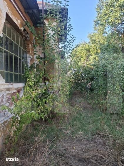 Casă cu Teren 5038 Mp în Pleșoiu