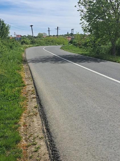 Teren de 20000 mp, în Bencecu de Sus