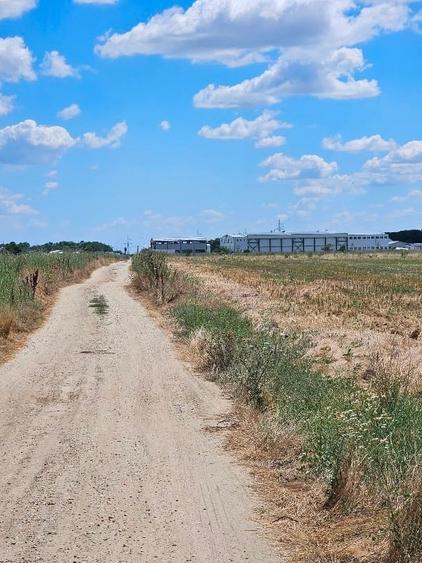 Teren Construcții intravilan de 1235 mp, în Cârcea