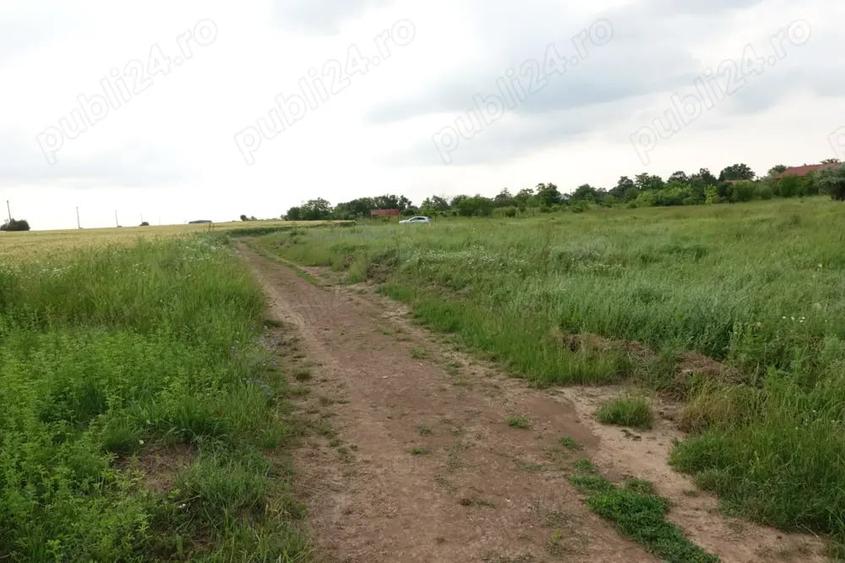 Teren de 10100 mp, în Tâncăbești
