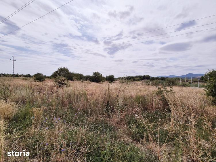 Teren de 3500 mp, în Central