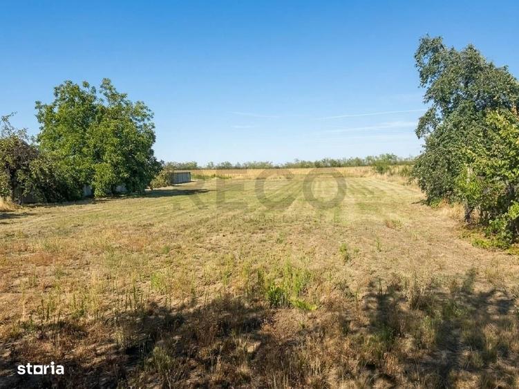 RECO Teren intravilan de vanzare in Gepiu 1.439 mp - 4