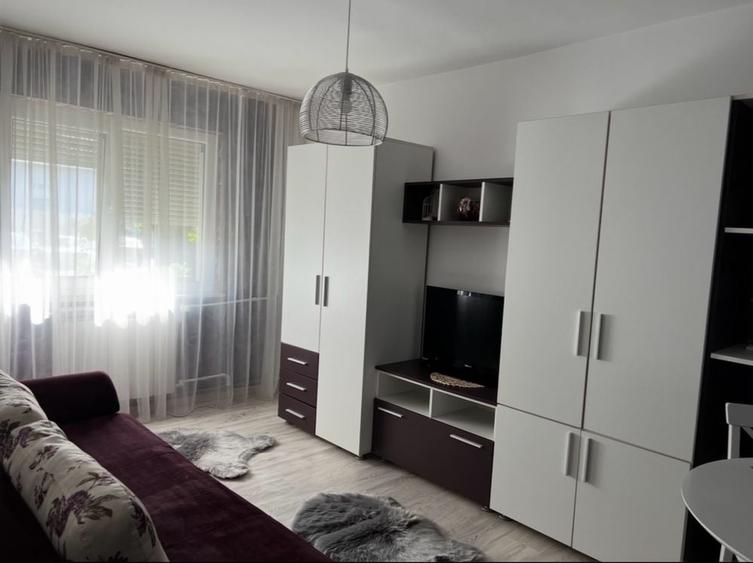 Garsonieră în Craiovița Nouă