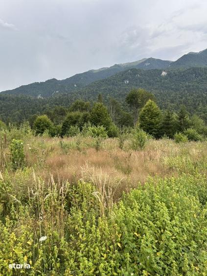 Teren de 1000 mp, în Cumpătu
