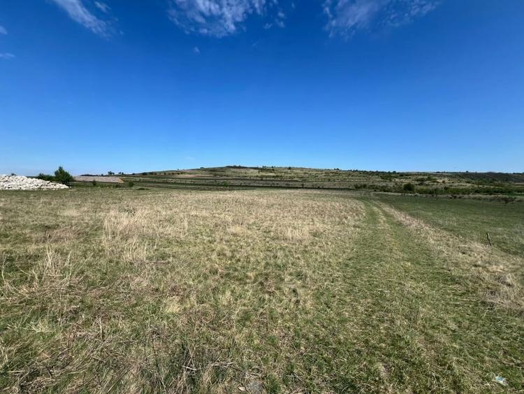 Teren agricol extravilan de 5800 mp, în Chinteni