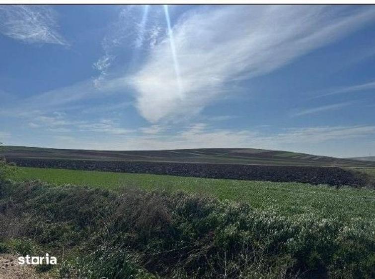 Teren de 3600 mp, în Corni