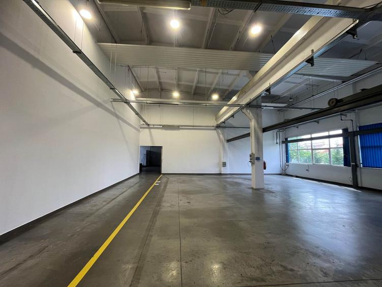 Spațiu industrial, de 7,858 mp, în Buziaș